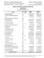 20090806-KSH-BCTC soat xet 6 thang dau nam 2009 – KSH 3. Bang CDKT