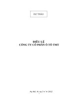 Du thao Dieu le Cong ty