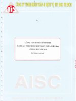 Bao cao tai chinh hop nhat giua nien do 6 thang dau nam 2012 da soat xet