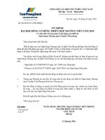 to trinh sua doi bo sung dieu le tpb2010