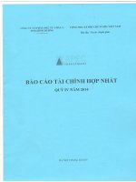 Báo cáo tài chính Hợp nhất Quý IV 2014