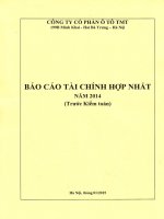 bao cao tai chinh hop nhat truoc kiem toan 2014
