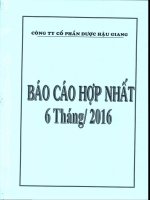 DHG BCTC quy 2.2016 HN1
