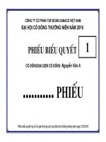 The bieu quyet DHCD 2016