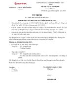 SHA10-To trinh thuc hien chi tra co tuc