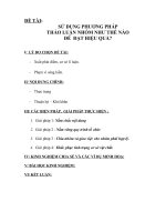 Sang kien kinh nghiem THAO LUAN NHOM