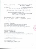 8. Bao cao ket qua phat hanh co phieu 1