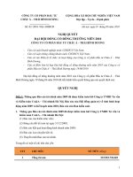 Microsoft Word NGHI QUYET DHCD APECI 2010