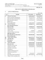 Bao cao tai chinh tom tat nam 2010 API