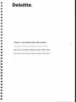 DHG BCTC Cong ty me kiem toan nam 2016