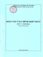 BCTC hop nhat quy 3 2014 truoc kiem toan