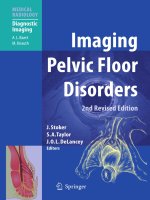 PDF Imaging Pelvic Floor Disorders (Medical Radiology) 2nd Edition PDF Download