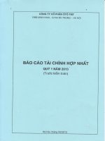 Bao Cao Tai Chinh Hop Nhat Quy I nam 2013