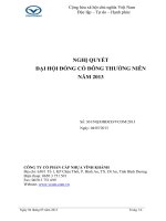 Biên bản họp Đại hội cổ đông thường niên 2013