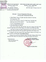 BCTC hop nhat giua nien do nam 2017 ky