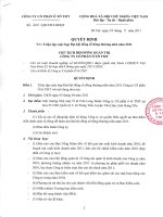 QD so 260 ngay 07 03 2011 vv trieu tap DHDCD thuong nien TMT 2011