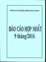 BCTC DHG Quy 3.2016 HN