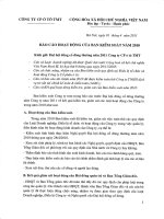 11  BC hoat dong cua BKS nam 2010