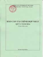 Bao cao tai chinh hop nhat quy 1 nam 2014 truoc kiem toan
