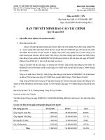 4. Thuyet minh BCTC - Quy II- 2010