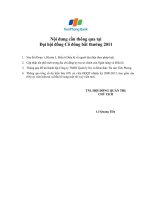 2 cac noi dung can thong qua tai dhcd bat thuong 2011