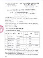 Báo cáo quản trị năm 2013
