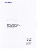 Bao cao tai chinh soat xet 6T dau nam 2016