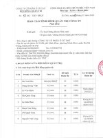 Bao cao tinh hinh quan tri Cong ty nam 2012