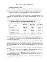 - Báo cáo Ban Kiểm soát