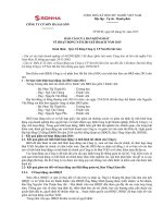 5.Bao cao BKS 2015-SHA