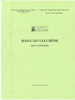 Báo cáo tài chính | Công ty Cổ phần Đầu tư Châu Á - Thái Bình Dương BCTC 2015 quy 1 t
