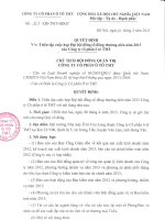 Quyet dinh trieu tap DHD thuong nien nam 2013