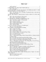 dieu le cong ty cp dien dong anh 2013