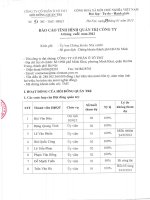 Bao cao tinh hinh quan tri Cong ty 6 thang cuoi nam 2012