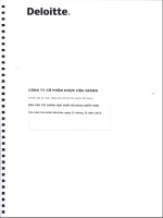 DHG BCTC hop nhat kiem toan nam 2016