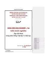 SKKN dạy hội thoại trong môn tiếng việt lớp 5 ở tiểu học 