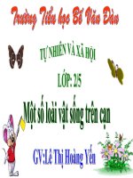 Bài 27. Loài vật sống ở đâu?