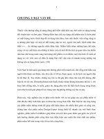 THIẾT kế và tối ưu HOÁ CÔNG THỨC VIÊN nén rã NHANH DIMENHYDRINAT