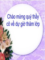 Bài 10. Thông tin về Ngày Trái Đất năm 2000