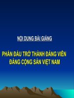 Phan dau tro thanh Dang vien
