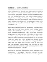 THẨM ĐỊNH QUY TRÌNH ĐỊNH LƯỢNG NIMESULID