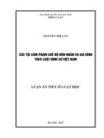 Các tội xâm phạm chế độ hôn nhân và gia đình theo Luật Hình sự Việt Nam