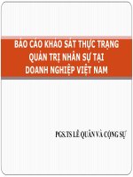Chia sẻ bài giảng: Báo cáo khảo sát thực trạng quản trị nhân sự tại doanh nghiệp Việt Nam