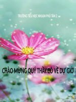 Tuần 11. Chuyện một khu vườn nhỏ