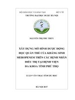 Xây dựng mô hình dược động học quần thể của kháng sinh meropenem trên các bệnh nhân điều trị tại bệnh viện đa khoa tỉnh phú thọ 