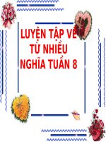 Tuần 7-8. Luyện tập về từ nhiều nghĩa