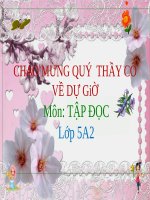 Tuần 9. Đất Cà Mau