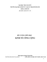 ĐỀ CƯƠNG MÔN HỌC KINH TẾ CÔNG CỘNG