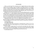 Ôn tập vật lý 11 - Từ trường