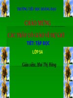 Tuần 8. Kì diệu rừng xanh